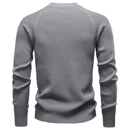 Raglan Sleeve Polo Shirt Men Henley Collar Solid Color Long Sleeve Heavyweight Cotton Business Casual Autumn Winter