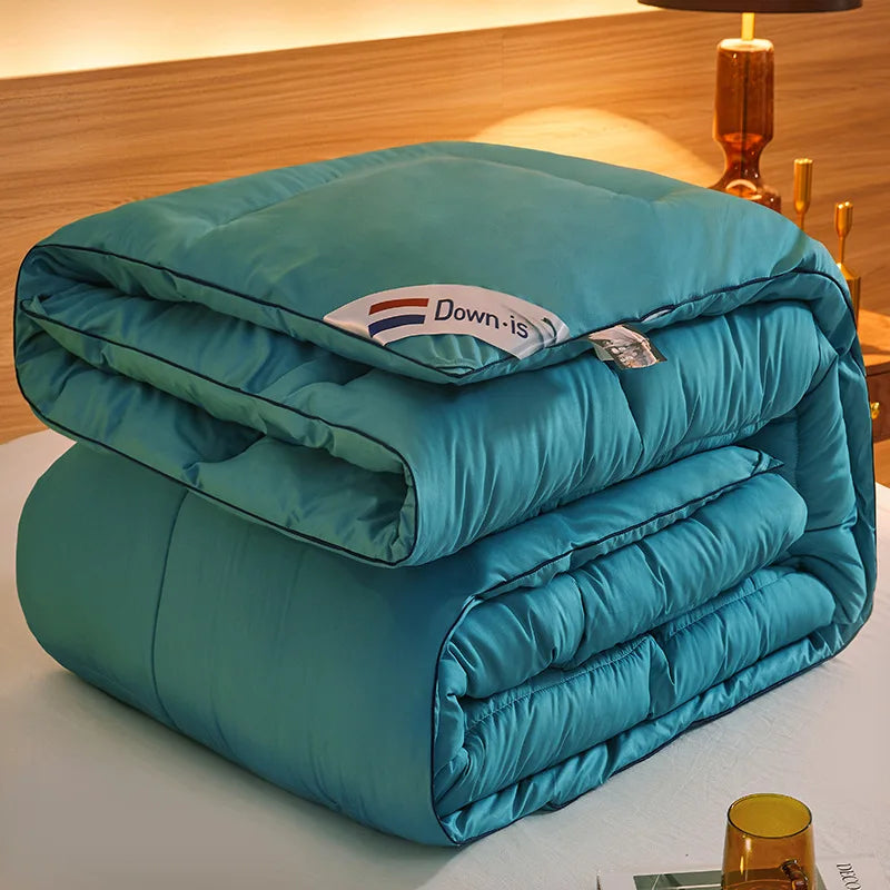 New winter thick quilt core, feather velvet quilt, spring and autumn warm thick quilt, suitable for all seasons