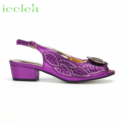 2023 Newest INS Style Brown Color Elegant Low Heels Nigeria Popular Design African Ladies Shoes And Bag Set for Wedding Party