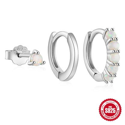 CANNER Set Double Layer Smooth Classic Hoop Earrings For Women 925 Sterling Silver Ins Flower Color Zircon Earrings Fine Jewelry