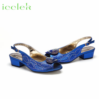 2023 Newest INS Style Brown Color Elegant Low Heels Nigeria Popular Design African Ladies Shoes And Bag Set for Wedding Party