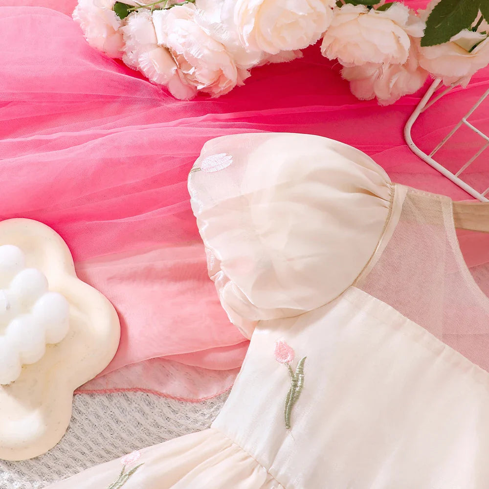 Girls' Summer Bubble Sleeves Mesh Flower Embroidered Princess Skirt Dress