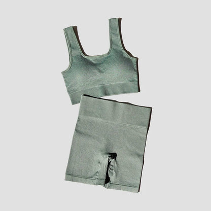 2PCS Women Yoga Set Gym Set Sexy Bra Seamless Sports Shorts Workout Running Clothing Gym Wear Athletic Sport Suit