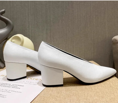 Sexy Autumn New Designer Vintage Evening Shoes Ladies Fashion Pointed Toe V Cut Woman Shoes High Heel Pumps Sexy C323