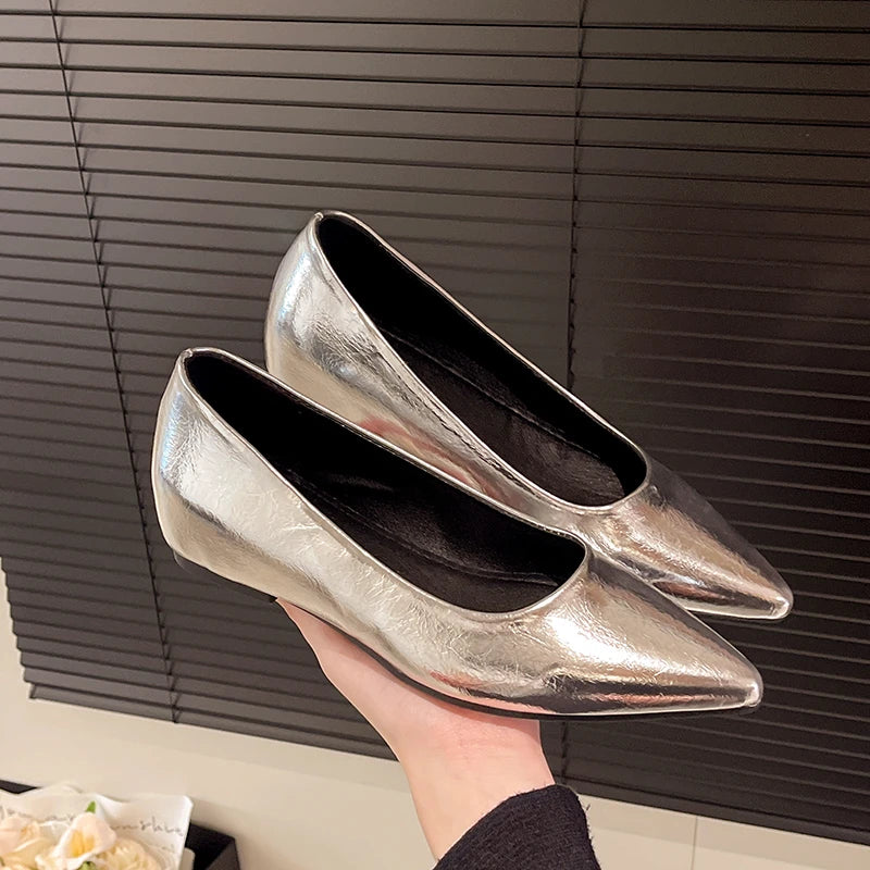 Fashionable low-heeled women's single shoes. Spring/Summer new style. Pointed toe office and commuting comfortable leather shoes