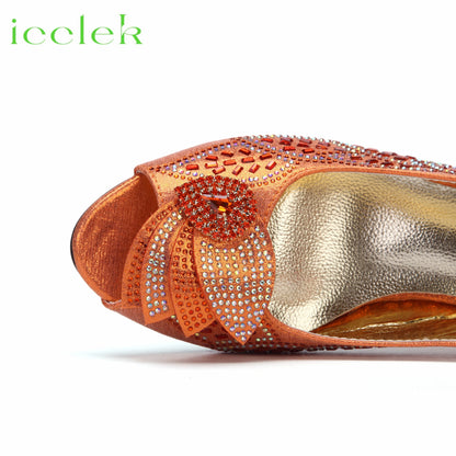 2023 Newest INS Style Brown Color Elegant Low Heels Nigeria Popular Design African Ladies Shoes And Bag Set for Wedding Party