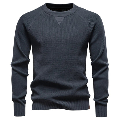 Raglan Sleeve Polo Shirt Men Henley Collar Solid Color Long Sleeve Heavyweight Cotton Business Casual Autumn Winter