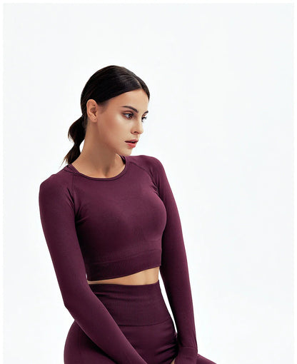 2/3Pcs Women Seamless Fitness Yoga Suit Workout Long Sleeve Crop Top Shirt Sports Bra High Waist Running Leggings Gym Clothing