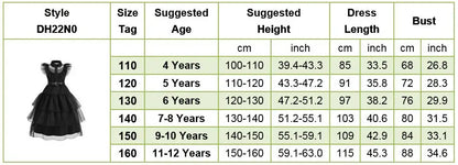 Girl Costume Kids Cosplay Black Princess Dress Children Pageant Dinner Dress Girl Halloween Party Dancing Clothing