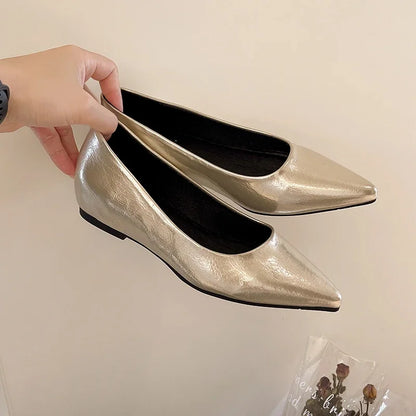 Fashionable low-heeled women's single shoes. Spring/Summer new style. Pointed toe office and commuting comfortable leather shoes