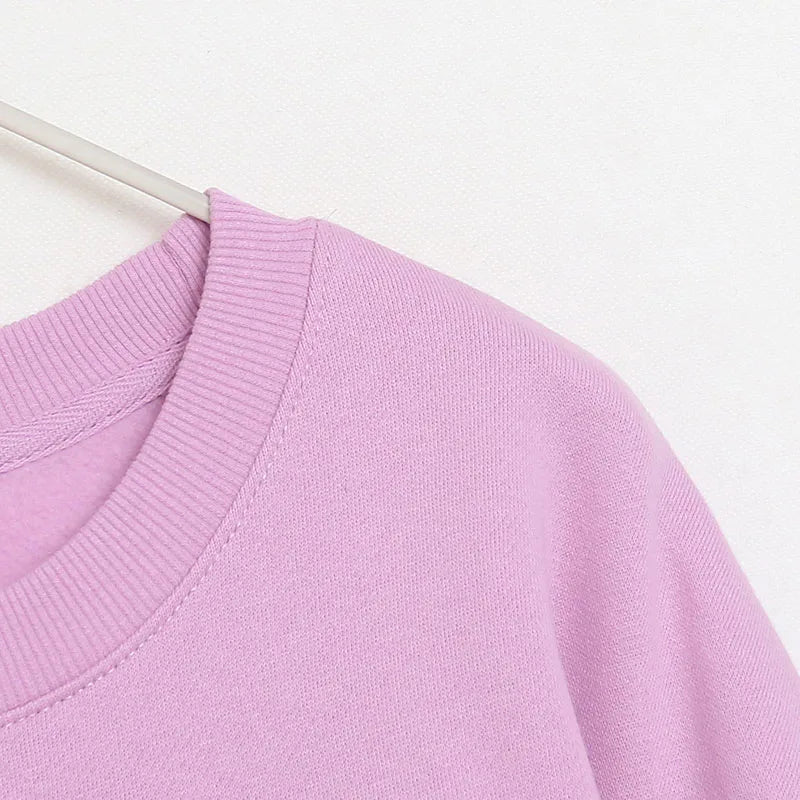 Embroidery Sweatshirt Women Casual Fleece Jumper Tigger Cheshire Cat Cartoon Loose Pullover Top O Neck