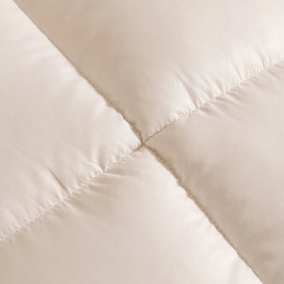 New winter thick quilt core, feather velvet quilt, spring and autumn warm thick quilt, suitable for all seasons