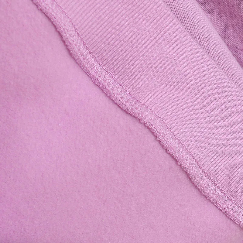 Embroidery Sweatshirt Women Casual Fleece Jumper Tigger Cheshire Cat Cartoon Loose Pullover Top O Neck