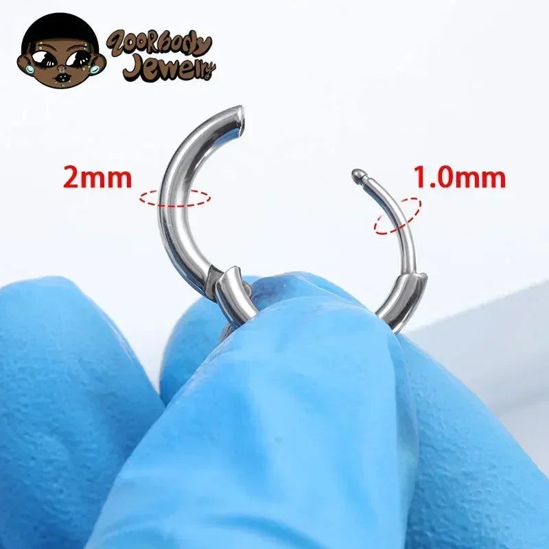 2PCS G23 Titanium Earring High Quality Hoop CZ Hinged Segment Round Nose Ring for Women Ear Cartilage Helix Piercing Anodizing