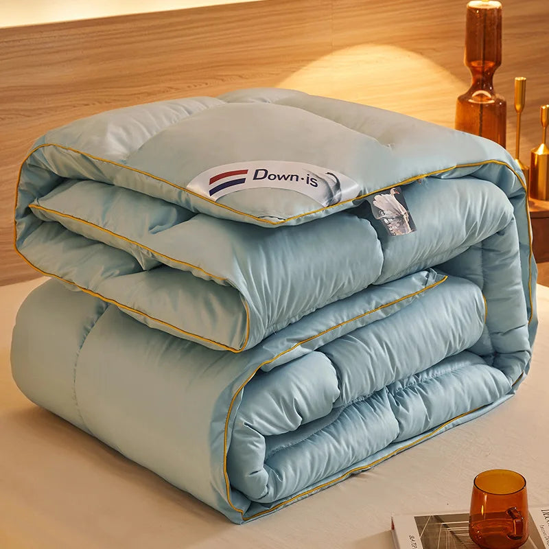 New winter thick quilt core, feather velvet quilt, spring and autumn warm thick quilt, suitable for all seasons
