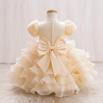 Baby Dress 2025 Spring/Summer on new three-dimensional floral soft yarn birthday party piano Performance Girl dress Elegant fluf