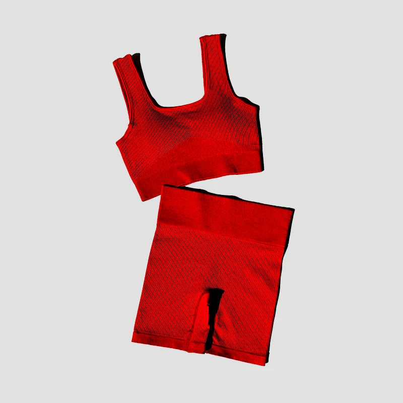 2PCS Women Yoga Set Gym Set Sexy Bra Seamless Sports Shorts Workout Running Clothing Gym Wear Athletic Sport Suit