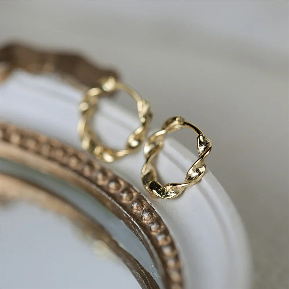 925 Sterling Silver Ear Buckle Snake Twisted Round Circle Microinlaid Zirconia Hoop Earrings For Women Pendientes Aro Rojos