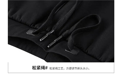 Men's Sets Jacket + pant Warm Fur Winter Sweatshirt Cashmere Tracksuit Men's Sets Fleece Thick Hooded Brand Casual Track Suits