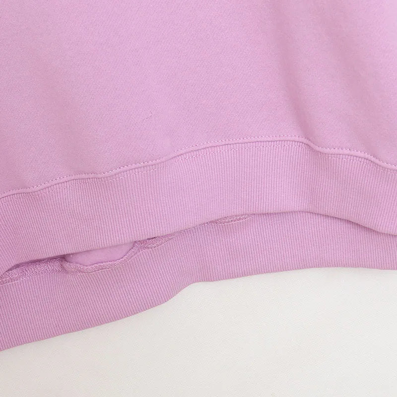 Embroidery Sweatshirt Women Casual Fleece Jumper Tigger Cheshire Cat Cartoon Loose Pullover Top O Neck