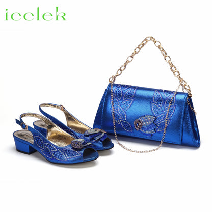 2023 Newest INS Style Brown Color Elegant Low Heels Nigeria Popular Design African Ladies Shoes And Bag Set for Wedding Party