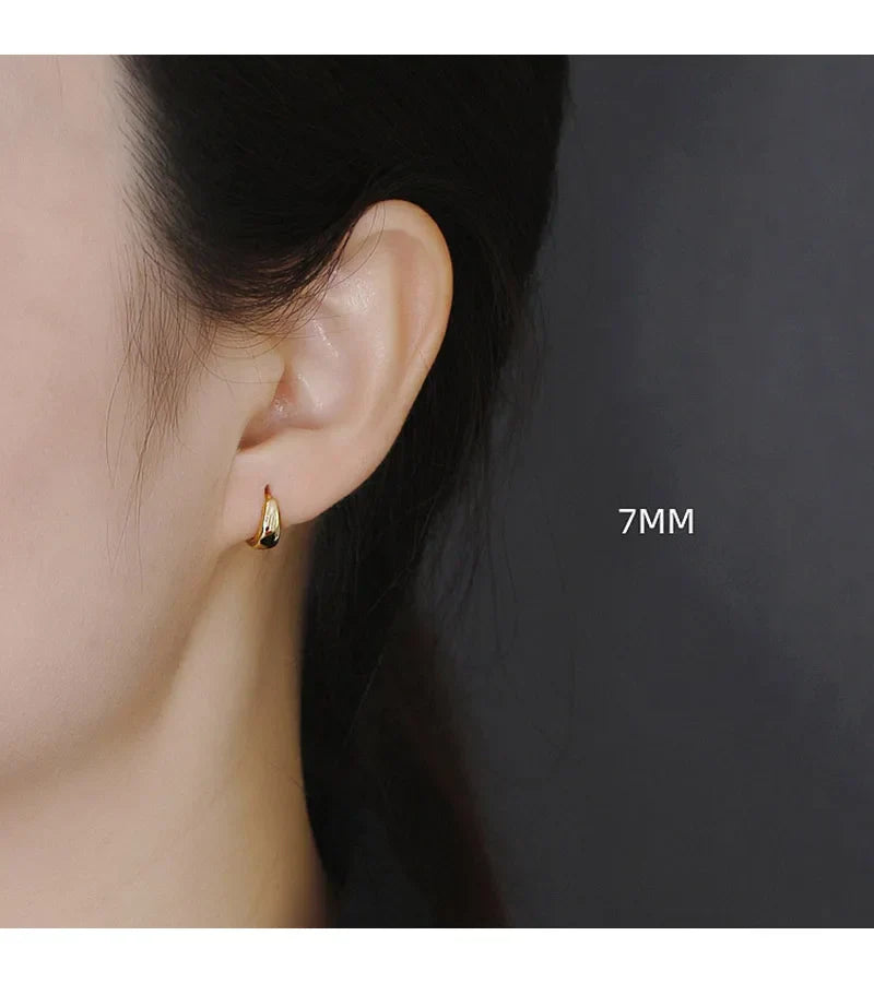 Real 925 Sterling Silve Fashion Inside Diameter 6 7 8 9 10mm Hoop Earrings For Women Men Personality Jewelry DG0132