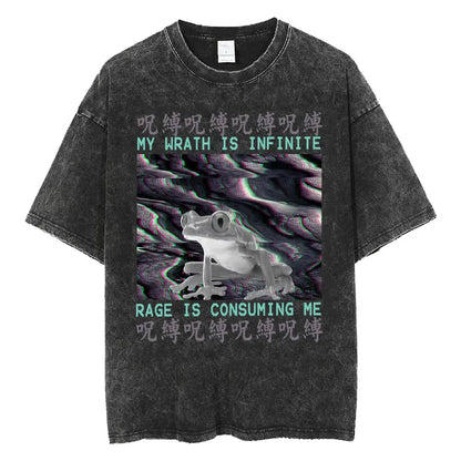 Amare Box No Thoughts Head Empty Japanese T-shirt Funny Capybara Vintage Washed T Shirt Men Women Casual Loose Short Sleeve Tees