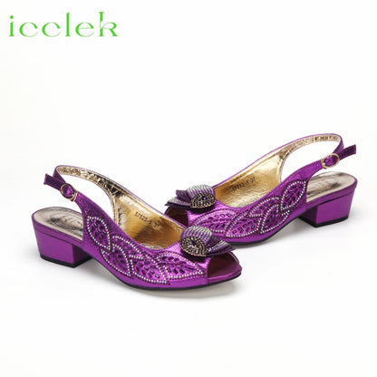2023 Newest INS Style Brown Color Elegant Low Heels Nigeria Popular Design African Ladies Shoes And Bag Set for Wedding Party