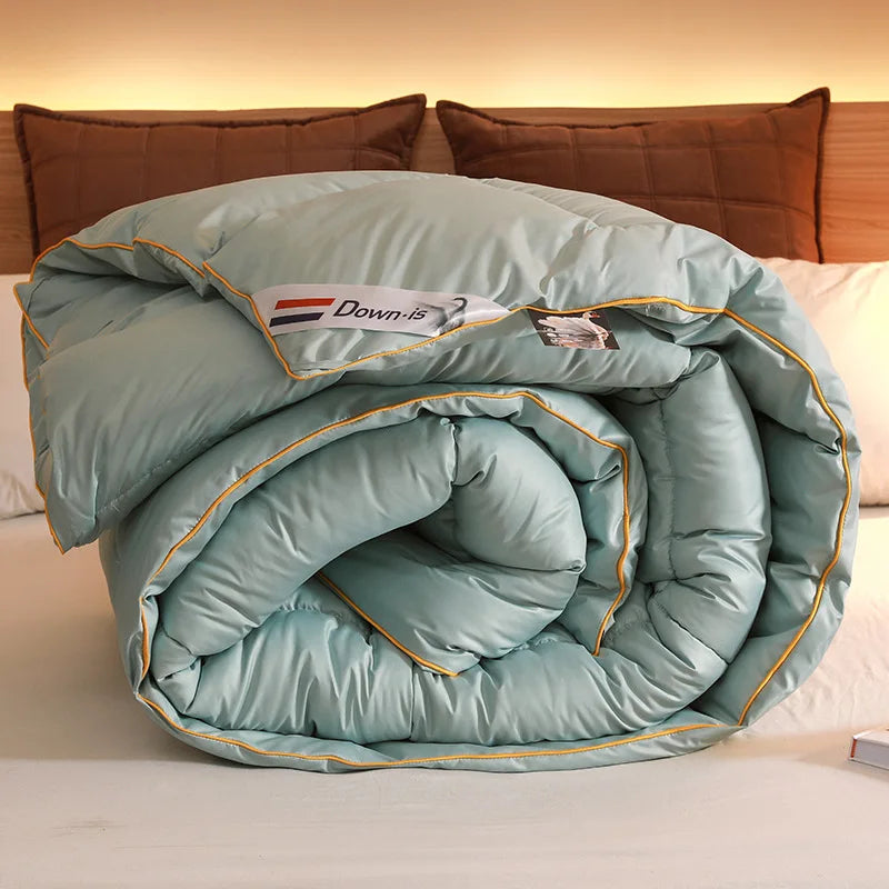 New winter thick quilt core, feather velvet quilt, spring and autumn warm thick quilt, suitable for all seasons
