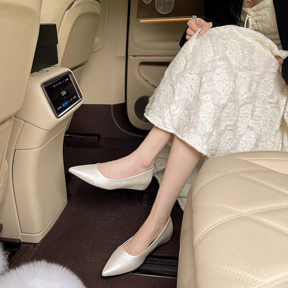 Fashionable low-heeled women's single shoes. Spring/Summer new style. Pointed toe office and commuting comfortable leather shoes