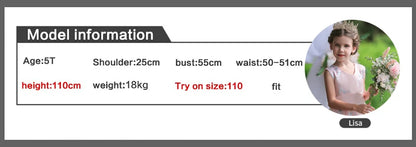 2026 New Summer Flower Girl Graduation Performance Tailcoat Embroidered Party Dress Trailing Tulle3-11 Years Old The Girl Dress