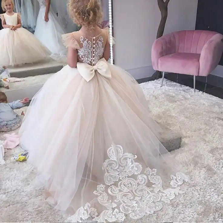 Pretty Dress Pink Flower Girl Dress Princess Lace Floral Appqulies Tulle Fluffy Skirt Floor Length Ball Gowns Comuunion Party