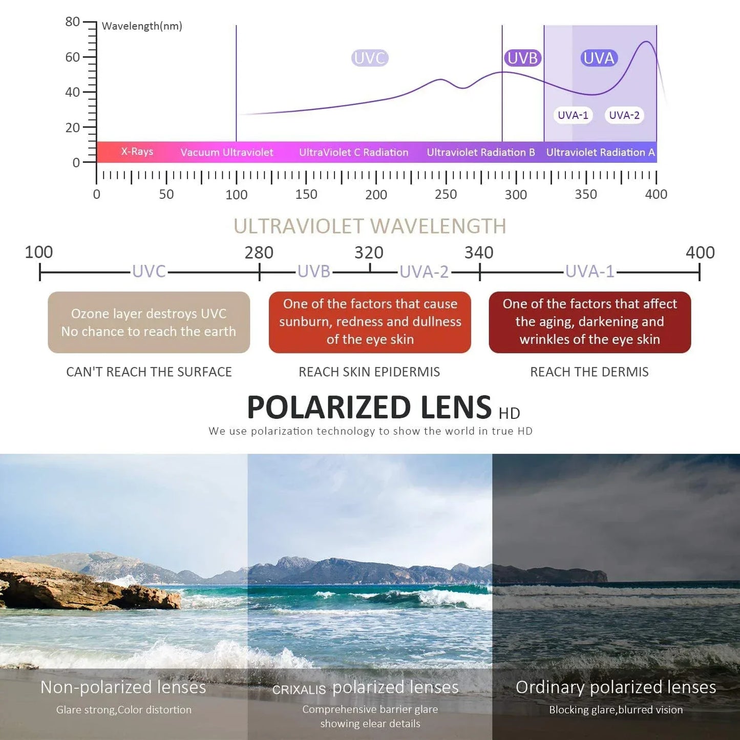 Fashion Photochromic Polarized Sunglasses Men Women Oversized Sun Glasses Male Night Vision Driving Goggles UV400