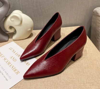 Sexy Autumn New Designer Vintage Evening Shoes Ladies Fashion Pointed Toe V Cut Woman Shoes High Heel Pumps Sexy C323