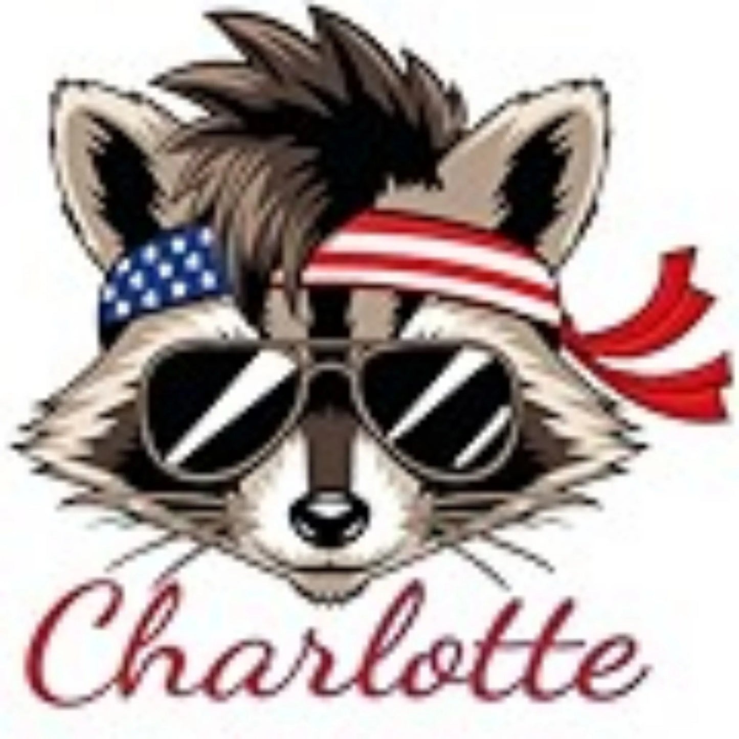USA American Flag 4th of July Outfit for Men Women Kids, Personalized Family Matching Patriotic Shirts: Eagle Cat Raccoon Funny