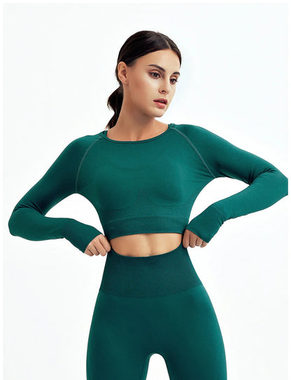 2/3Pcs Women Seamless Fitness Yoga Suit Workout Long Sleeve Crop Top Shirt Sports Bra High Waist Running Leggings Gym Clothing