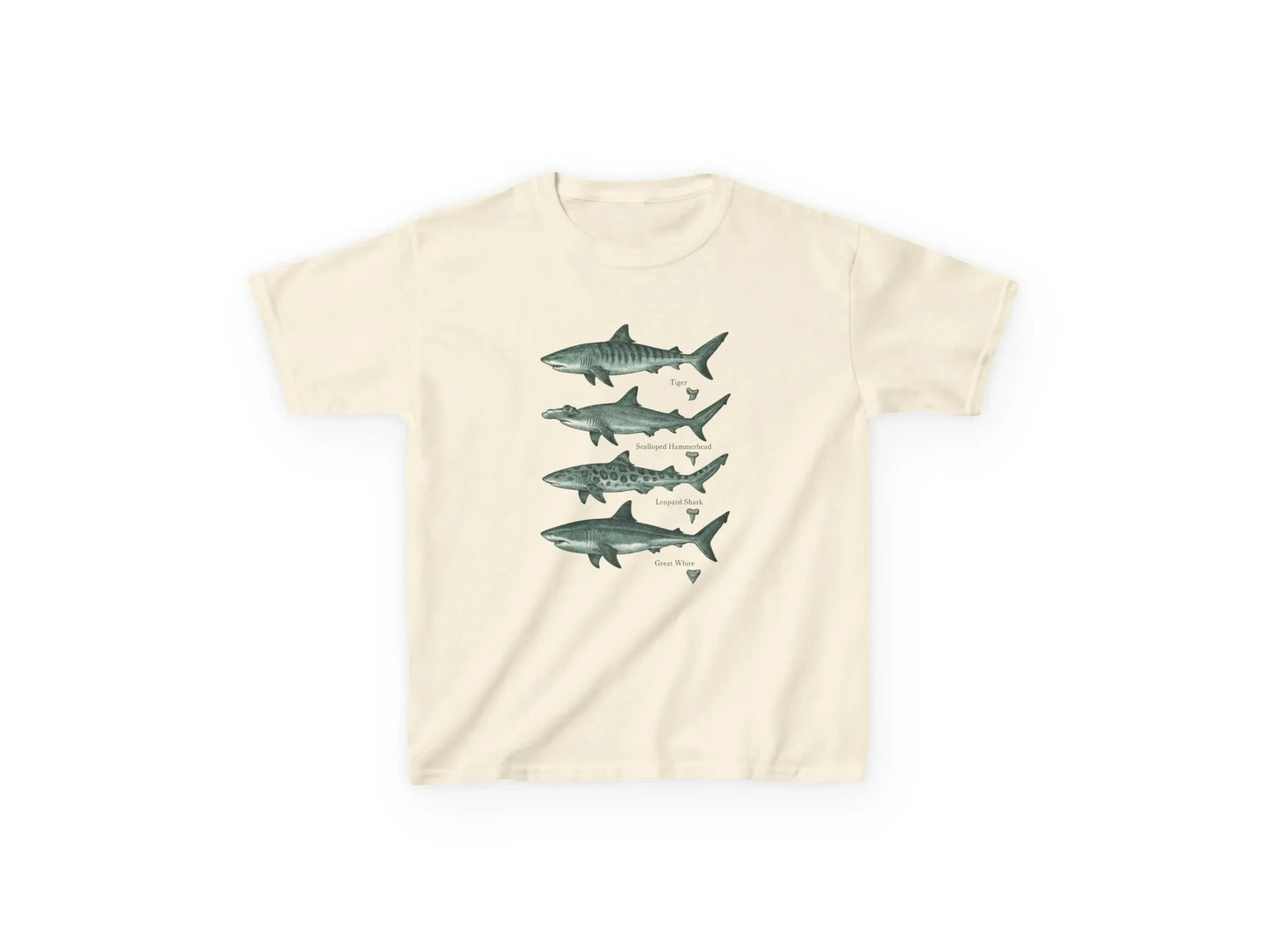 Shark Species T-Shirt, Vintage Style Marine Biology T-Shirt Featuring Natural Tiger Shark, Hammerhead Shark, and Leopard Shark