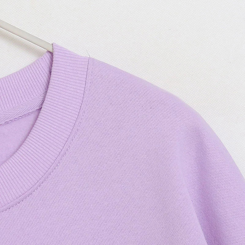 Embroidery Sweatshirt Women Casual Fleece Jumper Tigger Cheshire Cat Cartoon Loose Pullover Top O Neck