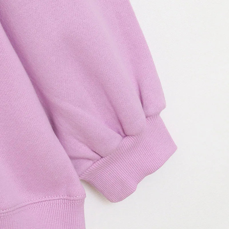Embroidery Sweatshirt Women Casual Fleece Jumper Tigger Cheshire Cat Cartoon Loose Pullover Top O Neck
