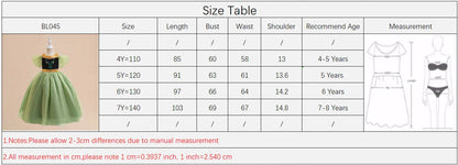 Girl Green Anna Princess Gown Kids Flower Embroidery Party Dress Girls Summer Daily Holiday Clothes Children Fashion Costumes