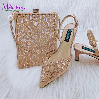 Mature Style INS Hot Sale Italian Design Shoes and Bag to Match in Wine Color High Quality  Hollowing out Design for Dress