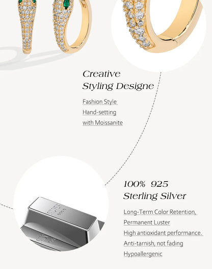 Snake Hoop Lab Diamond Earring S925 Sterling Silver Moissanite Drop Earrings for Women Fine Jewelry Birthday Gift
