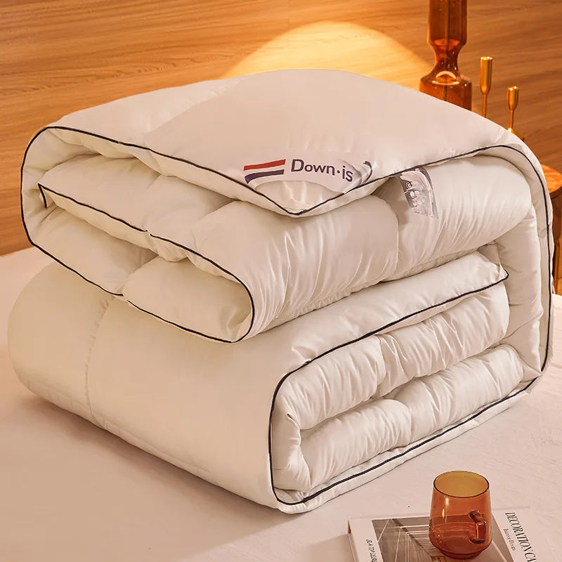 New winter thick quilt core, feather velvet quilt, spring and autumn warm thick quilt, suitable for all seasons