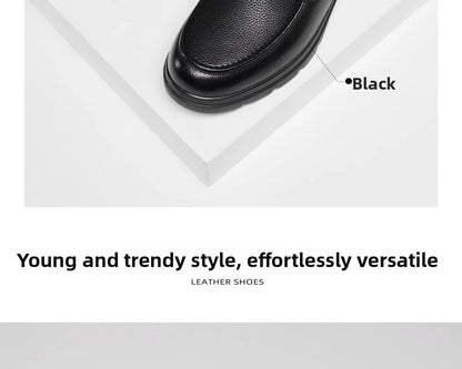 Golden Camel Men's Shoes 2026 New Business Casual Soft Sole Leather Shoes Brand Design Soft Soles Non-slip Velvet Warm Loafers