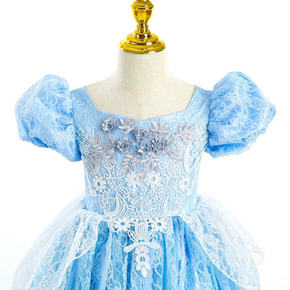 Kid Chic Cinderella Lace Ball Gown Princess Cosplay Floral Party Dress Fairy Punmkin Car Girls Story Role Play Carnival Costume