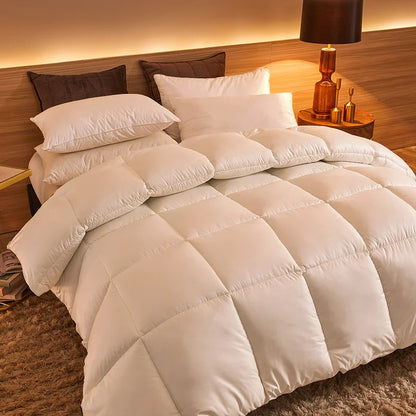 New winter thick quilt core, feather velvet quilt, spring and autumn warm thick quilt, suitable for all seasons