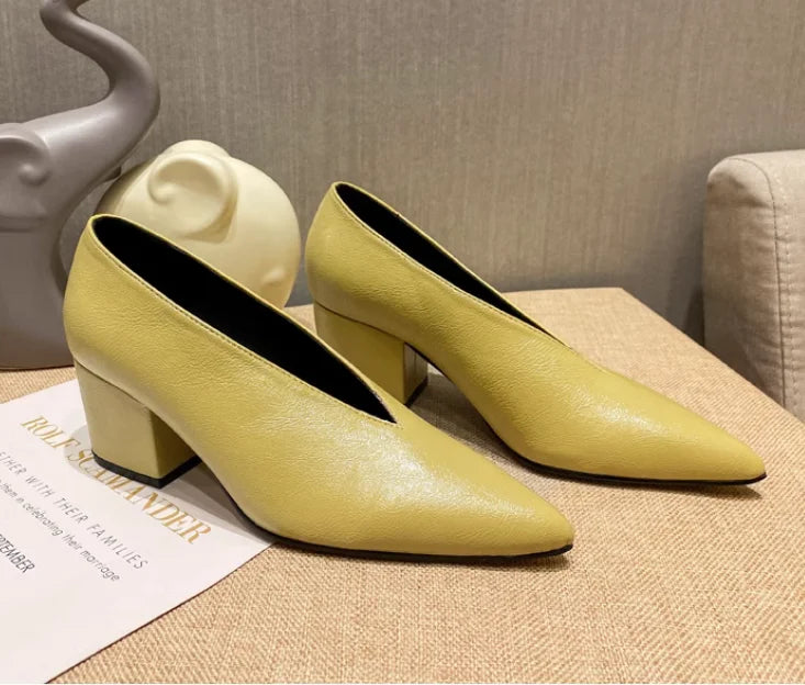 Sexy Autumn New Designer Vintage Evening Shoes Ladies Fashion Pointed Toe V Cut Woman Shoes High Heel Pumps Sexy C323
