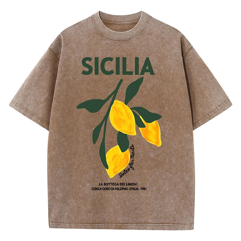 Lemon Fruit Design Women Washed T-Shirts Y2K Casual T Shirt Summer Hip Hop Top Cotton Loose Short Sleeve