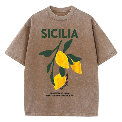 Lemon Fruit Design Women Washed T-Shirts Y2K Casual T Shirt Summer Hip Hop Top Cotton Loose Short Sleeve