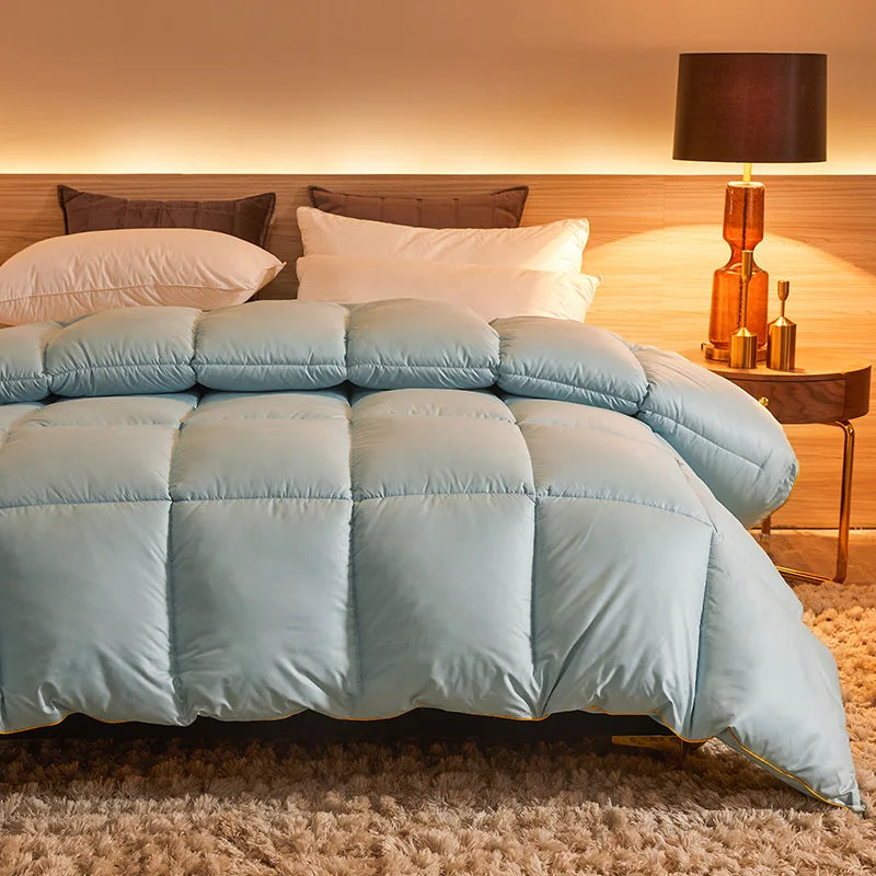 New winter thick quilt core, feather velvet quilt, spring and autumn warm thick quilt, suitable for all seasons